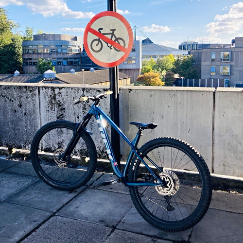 Trek roscoe gen - 2025, high